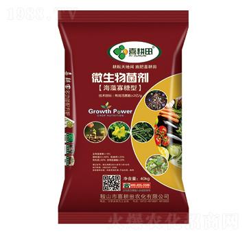 ���������΢�������-