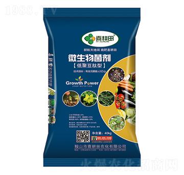 �;۶�����΢�������-