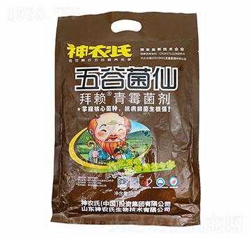 ��ه����ù����-��Ⱦ���-���r(n��ng)��