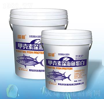 �ך�����~����-�ֿ�