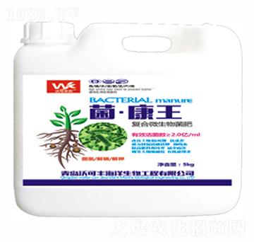 �ͺ�΢�������-������