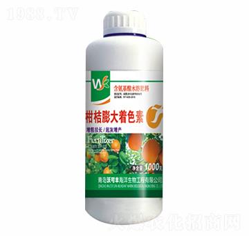 �̽������ɫ��-�ֿ��S