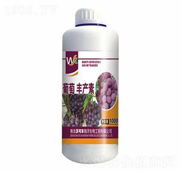 �����S�a��-�ֿ��S