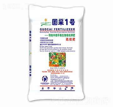 �ЙC����-����1̖-��