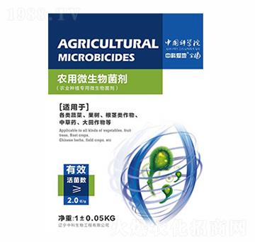 �r��΢�������-�п�