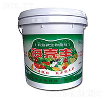 �����S����΢�������-