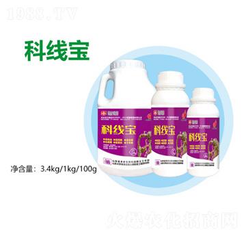 �ƾ���-�S������