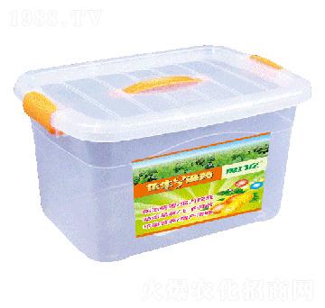 ��������ˎ-�r�����S