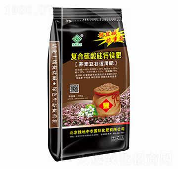 ��(f��)��������}�V��-�G��