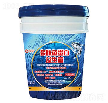 �����~(y��)����������-�Z����