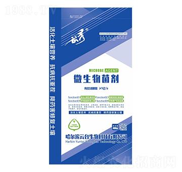 ����΢�������-���_