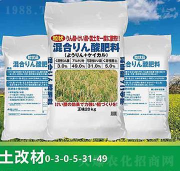 ��(f��)�����-����ʘI(y��)