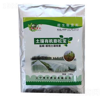 �����ЙC���Ɍ�-ʩ�ѷʘI(y��)