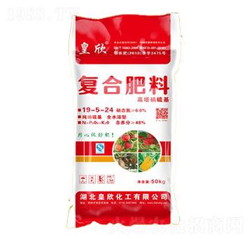 �ͺϷ���19-5-24-��������