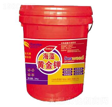 �����S���-�՝��S