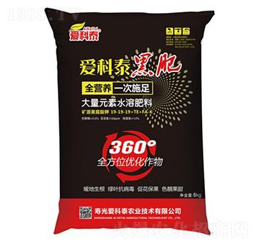 �ڷ�19-19-19+TE-FA-K-�ۿ�̩