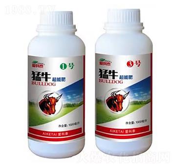 ��ţ���ܷ�-�ۿ�̩