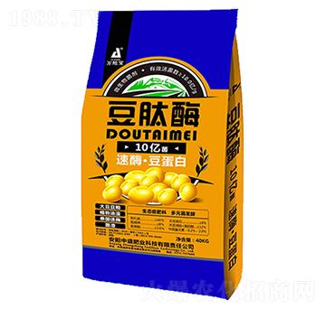 ΢�������10�|��-��