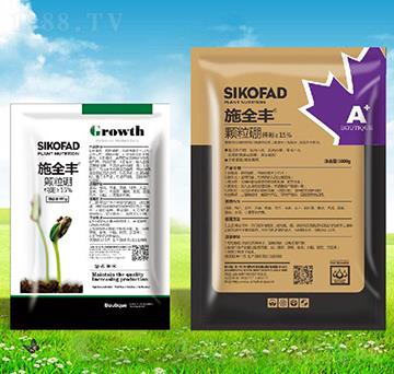 ʩȫ�S�w����-����