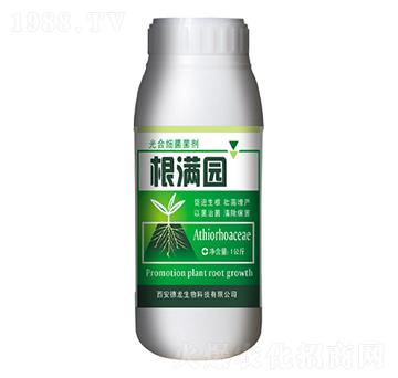 ��ϼ�(x��)������-���M�@-