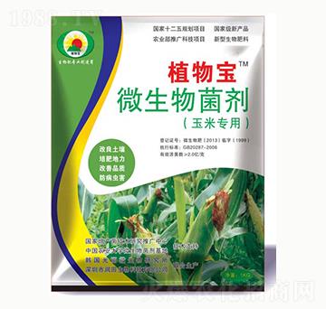 ���׌���΢�������-ֲ�-��������