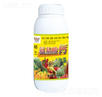 ϡ���������}-�������