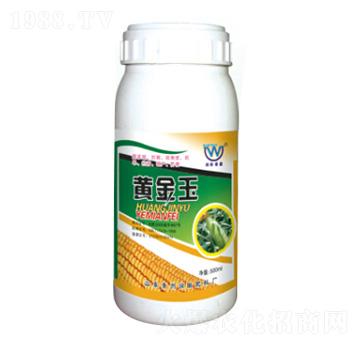 �S����-�������