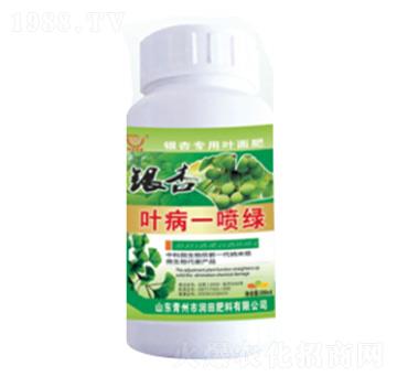 �y���~��һ���G-�����