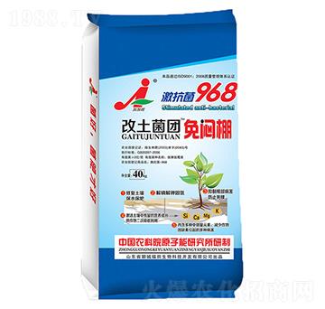 �������F(tu��n)���␞��-��������