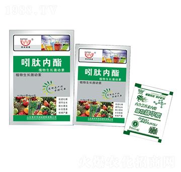 ���ă�֬A+B-�����