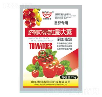 ������Ě���������t���