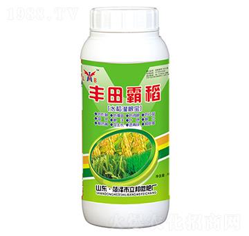 �S��Ե�-��������