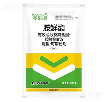 8%���r��-��ɔX-�����r