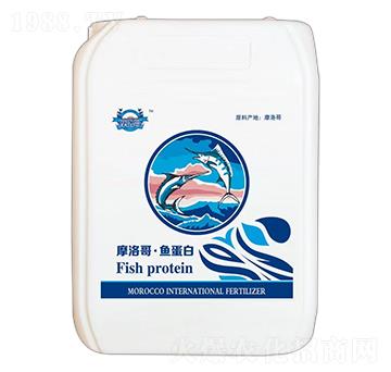 Ħ��硤�~����-��Ȫ��