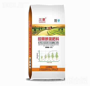 ��ጓ������29-5-6-����-ꖹ���r