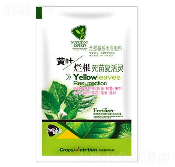 �S�~��������ͻ��`-�|