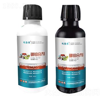 ���f�τ�-�G���S-���_(d��)����