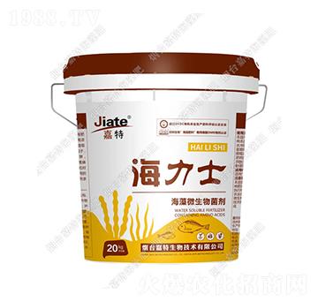 ����_ʩ��-����ʿ-��������