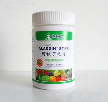 ������֮��-������