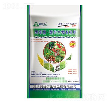 40kg���S����������