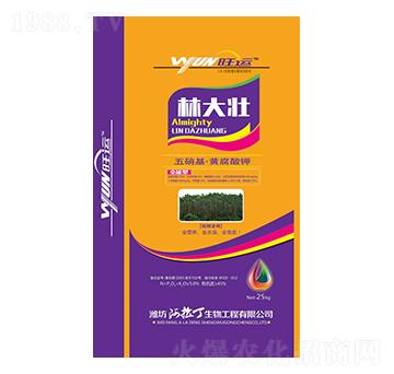 ���������S�����-�ִ�