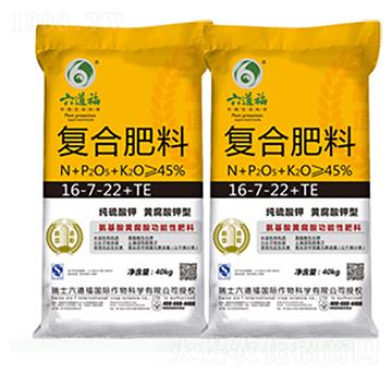 �S������͏�(f��)�Ϸ�16-