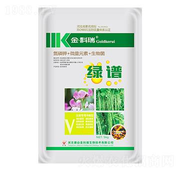 �G�V�����(l��i)��-�����