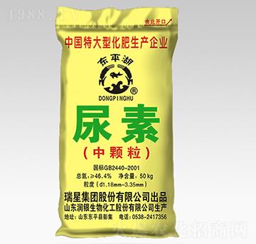 ���w������-�|ƽ��-����