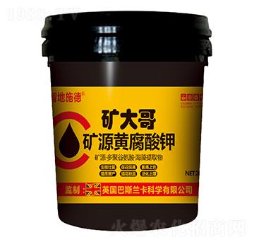 �VԴ�S�����-�ǵ�ʩ�¡��V���-�|��