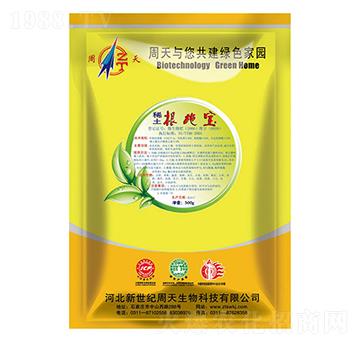 ϡ����ʩ��-��������