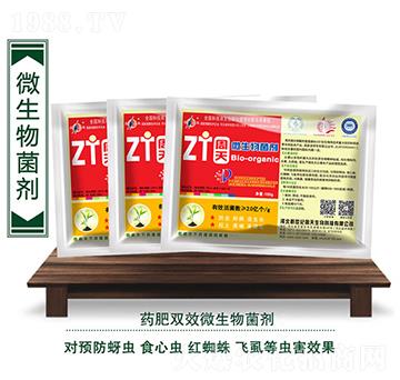 ���x����΢�������-��������