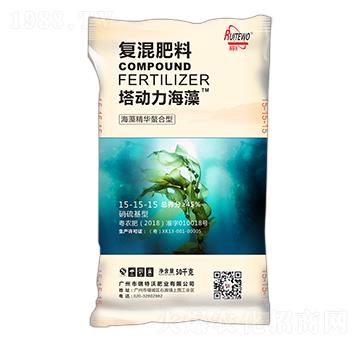 ���徫�A�����͏�(f��)�����15-15-15-����������-������