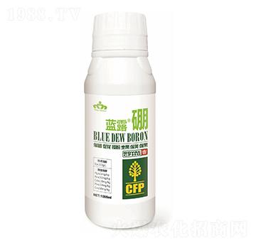 �{¶��-�L�S����