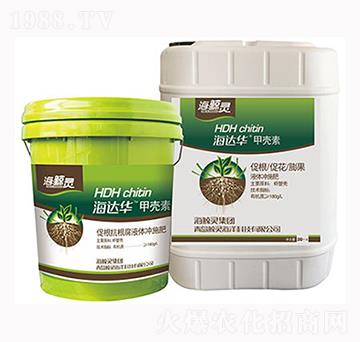 ���_(d��)�A�ך���-�L�`